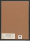 Navicula sentellum (smithii) O.M./Breb. (de-Toni-Nr.: Genus 1, Species 289) Zeichnungen Sammlung Grunow Mappe 00227 (Herbarium_W_Grunow_drawings_Folder_00227)